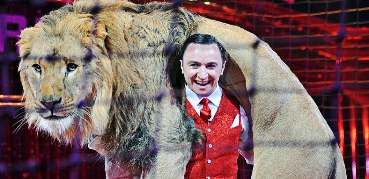 В Петербурге начались гастроли циркового шоу с африканскими львами