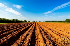 В Курской области вернули в оборот более 119 гектаров сельхозземель