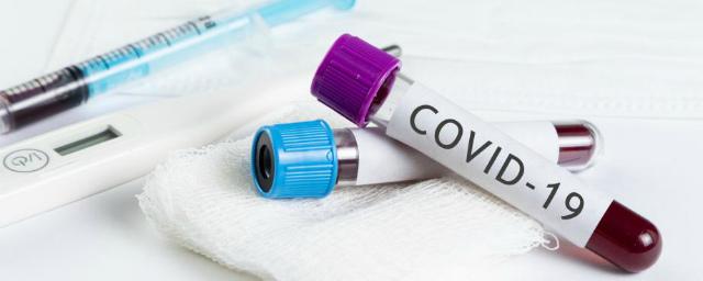 Новый вид конопли может защитить от COVID-19