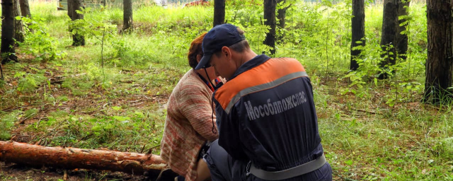 Спасатели помогли пенсионерке выйти из лесного массива в СНТ г.о. Клин