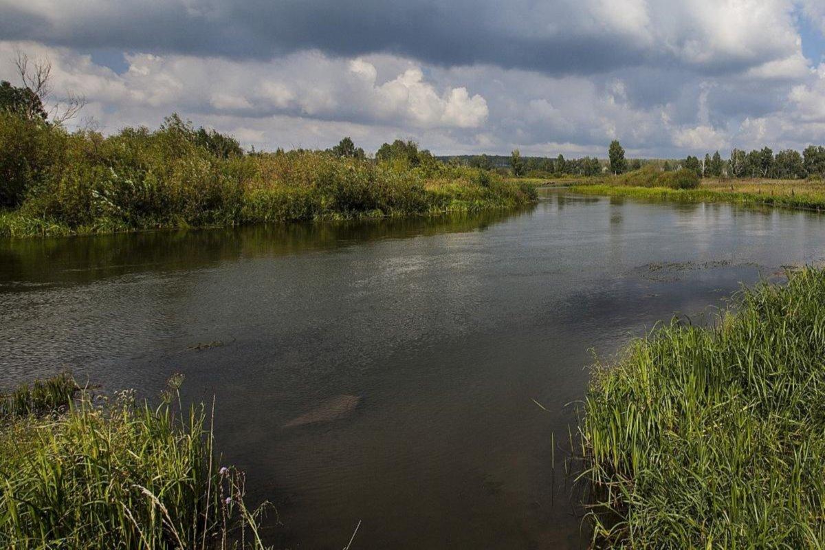 Экологи Челябинска выявили причину повторного загрязнения реки Миасс нефтепродуктами