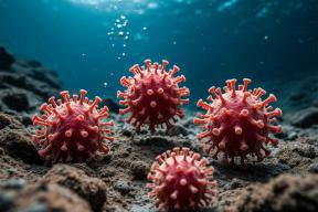 Российские ученые нашли три новых вируса в недрах Земли