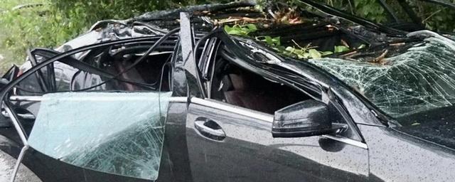 Из-за урагана в Комсомольске-на-Амуре дерево рухнуло на крышу машины, в которой ехала семья