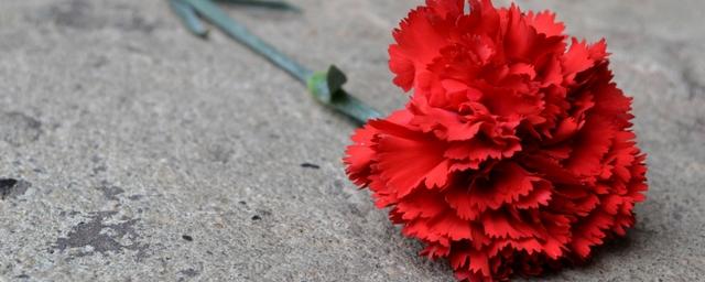Ульяновцы почтили память погибших в ДТП