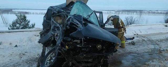 В Дивеевском районе водитель Lexus погиб в ДТП с молоковозом