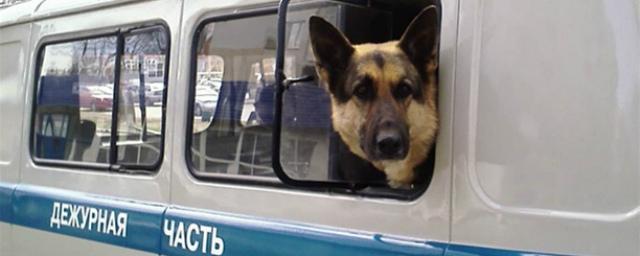 В Приморье полицейская собака помогла поймать убийцу