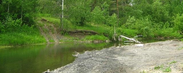 В семи водоемах Томской области запретили купаться