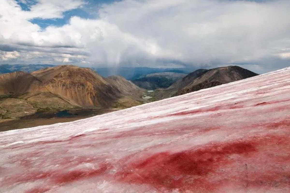 На Алтае ледники покраснели и стали заметно активнее таять