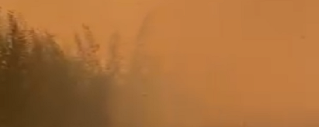 В Якутии из-за лесных пожаров перекрыли региональную дорогу