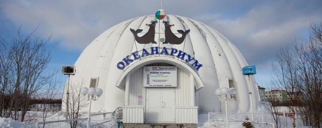 Мурманский океанариум возобновил работу после 9 месяцев простоя
