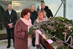 Спикер облдумы Марина Дмитриева: Объем производства ягод в Ивановской области увеличился в 28 раз за последние семь лет