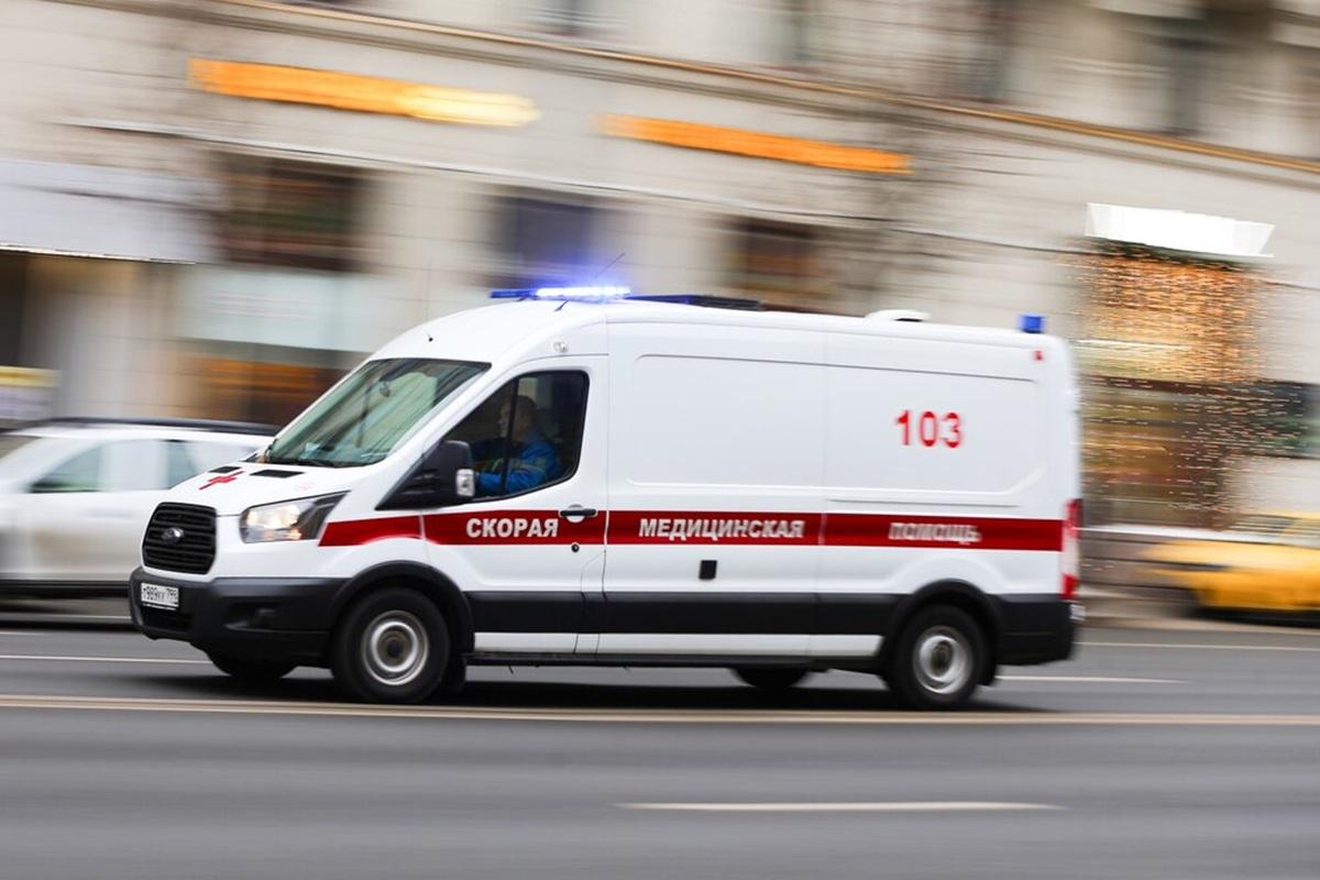 ЧП в Ленобласти: подросток в реанимации после нападения гадюки