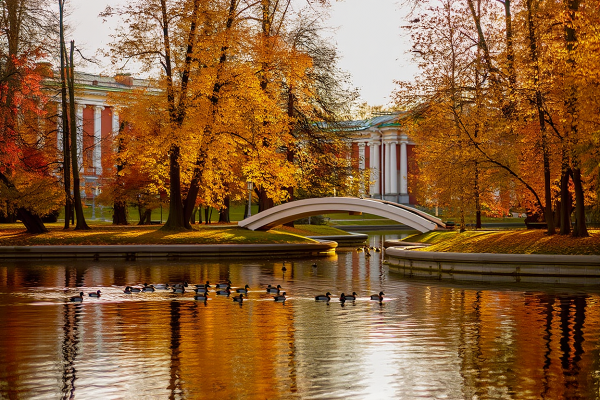 Названа предварительная причина смерти найденного в пруду в Москве мальчика