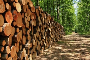 В Финляндии взлетели цены на древесину
