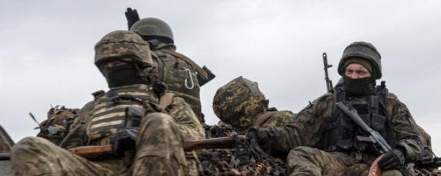 Владимир Рогов: ВСУ готовят серию отвлекающих маневров перед контрнаступлением
