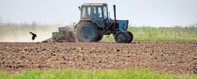 Минсельхоз РФ: Кредитование сезонных полевых работ выросло на 36,18%