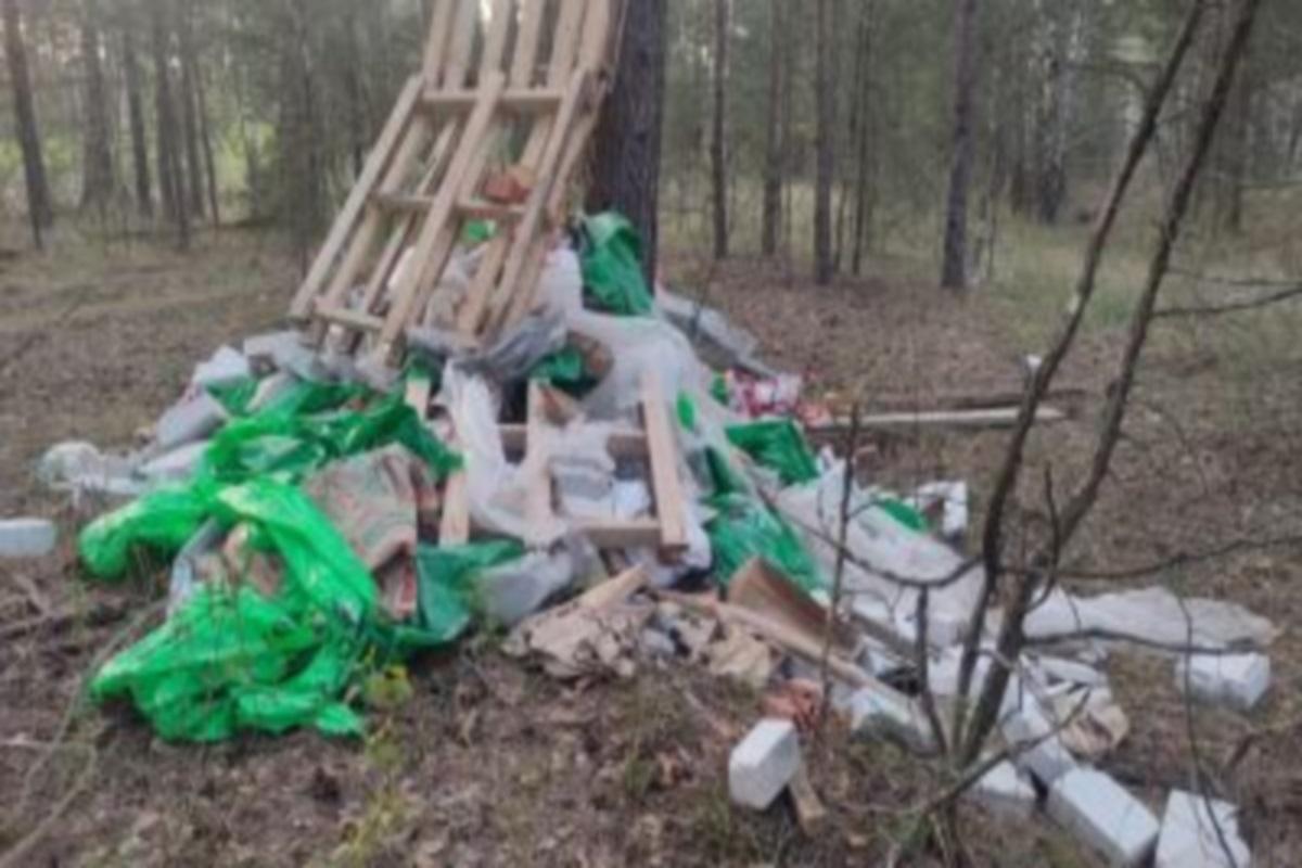 В Рязани предложили создать подразделение полиции для борьбы с незаконными свалками