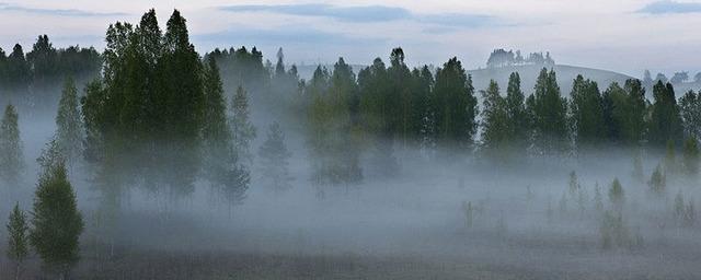 В Белгородской области снова ожидается туман