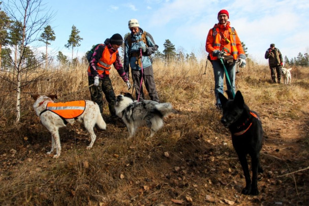 В Новосибирске завершены поиски 15-летней девочки