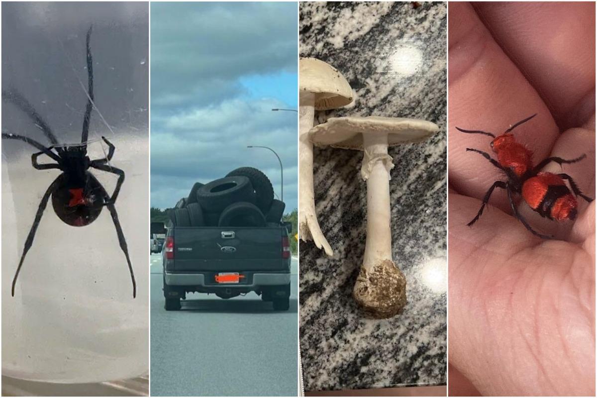 Игра со смертью: 30 случаев, когда люди рисковали жизнью, не зная об опасности