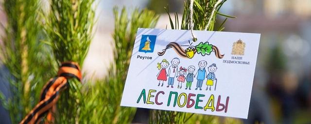 Жителей Подмосковья приглашают принять участие в акции «Лес Победы»
