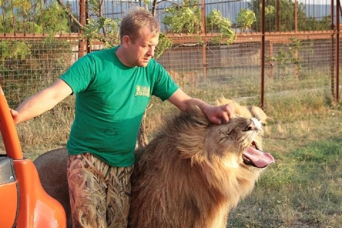 Сафари-парк «Тайган» не стали закрывать после нападения льва на директора Зубкова