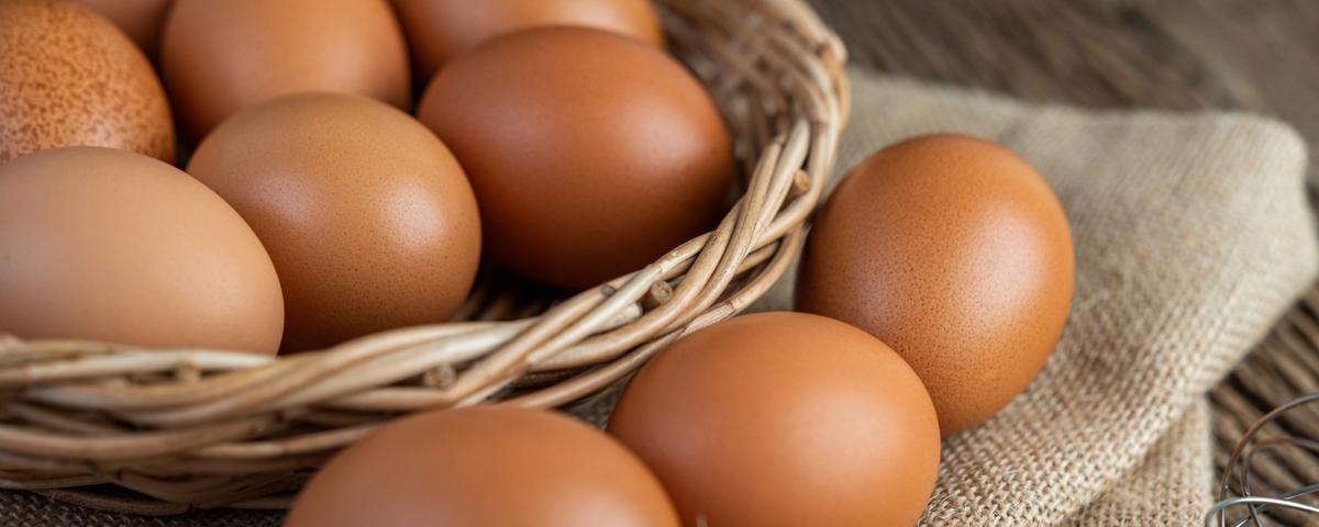 Минсельхоз заметил снижение цен на яйца в России