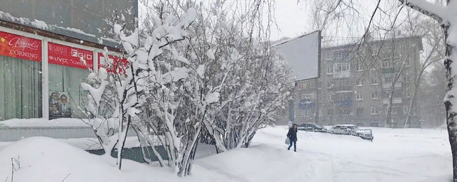 Ульяновскую область накроет снегопад