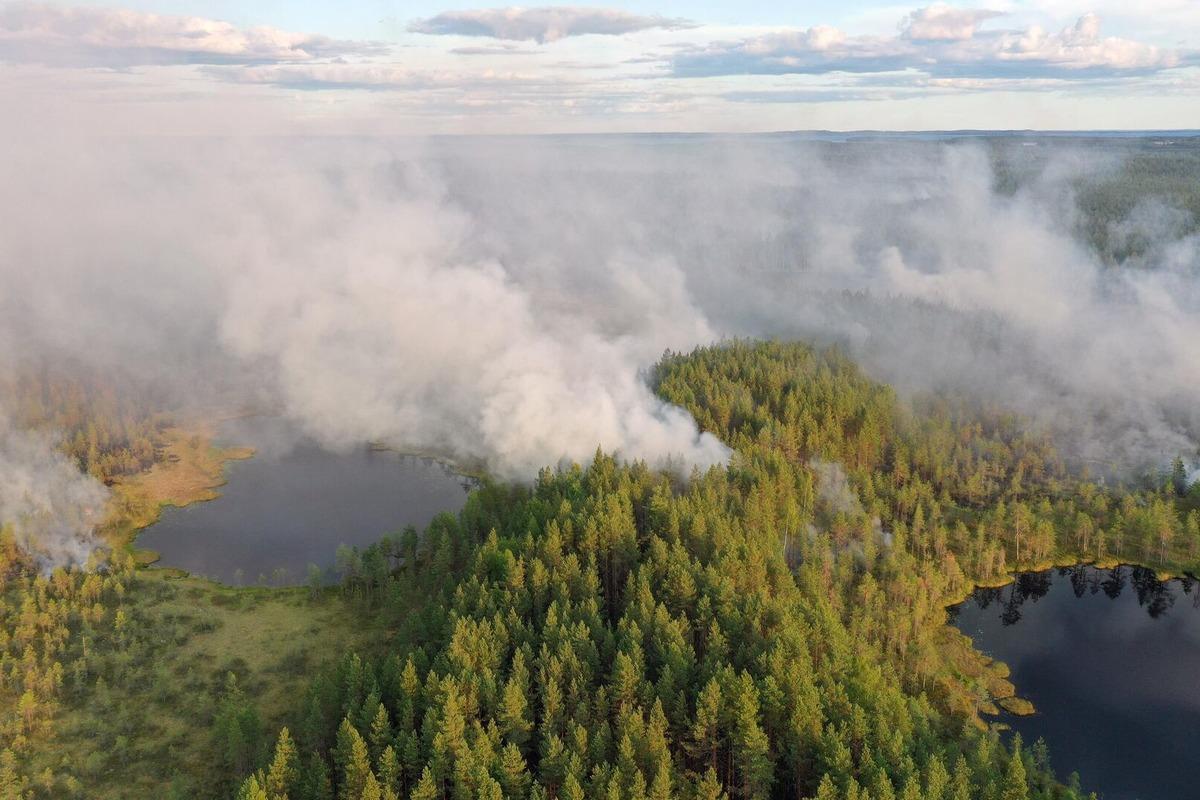 В Карелии назвали причины лесных пожаров в регионе