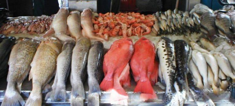 В Нижегородской области потребление рыбы снизилось на 16%