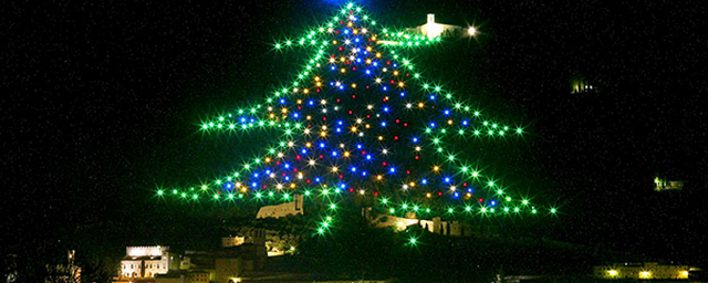 Главная Новогодняя елка Иваново засияет огнями в сквере Мастеров