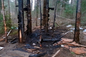 Вологодские власти усиливают контроль за лесными пожарами с воздуха и земли