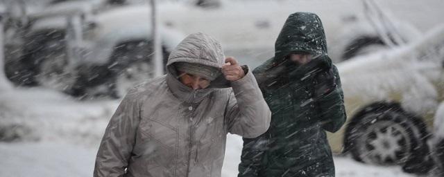 Спасатели предупредили рязанцев о двухдневном снегопаде