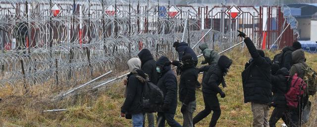 Bodies of dead migrants found on Polish-Belarusian border