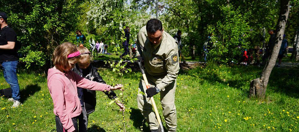 В Иркутске в Лисихинском парке высадили более 100 деревьев