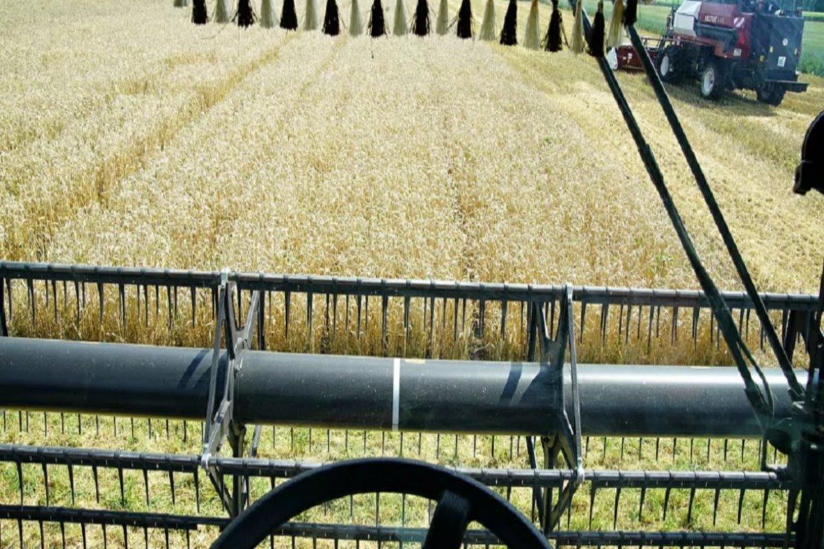 Уборочная кампания в Башкирии радует аграриев рекордно высокой урожайностью