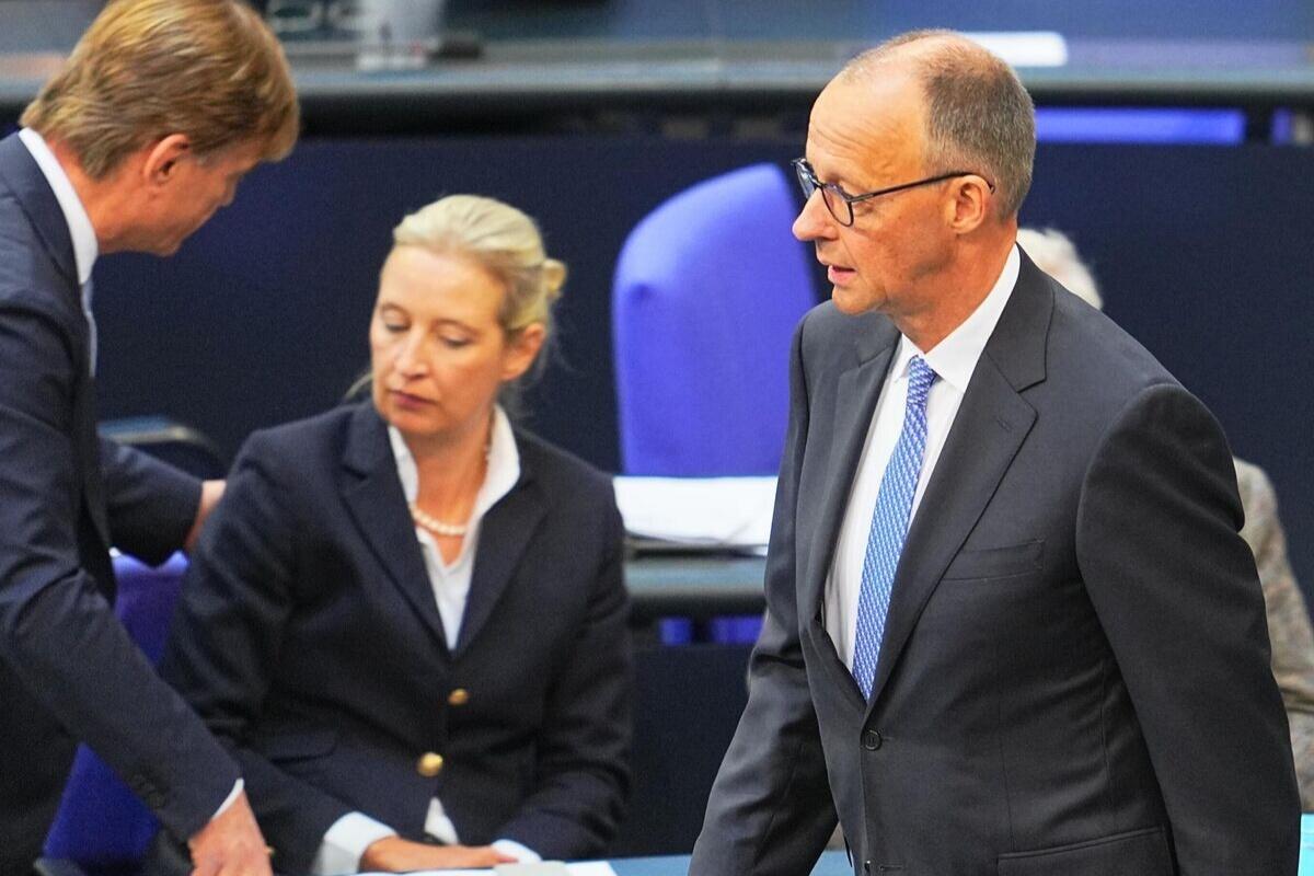 Лидер АдГ призвала Мерца уйти в отставку