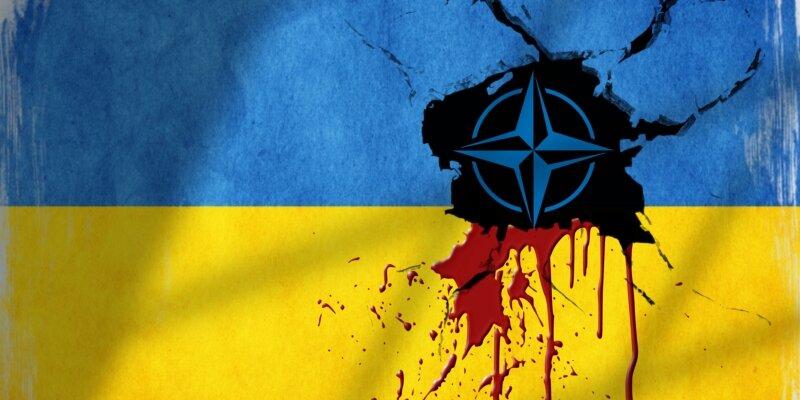 Польша, Словакия, Венгрия и Румыния готовятся откусить по куску от Украины после поражения ВСУ