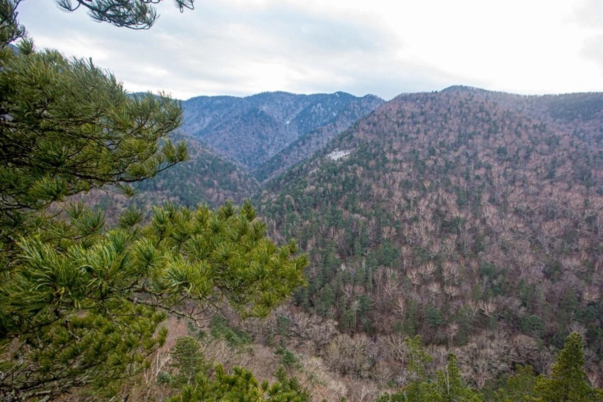 Власти Якутии заявили о желании присоединиться к климатическому эксперименту