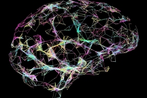 ИИ эффективно определил повреждения в мозге после инсульта