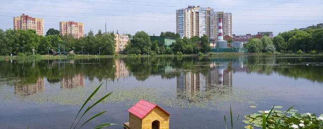 Жители Пушкинского городского округа выбирают водоемы, которые будут очищены в 2023 году