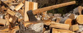 Hungarian authorities banned firewood exports