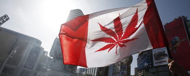 В ООН не одобрили легализацию марихуаны в Канаде