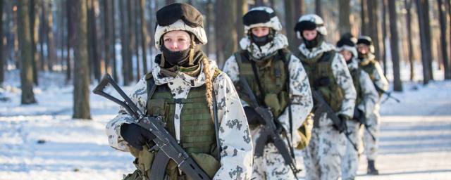 Швеция предложила Финляндии не пытаться «воевать» с Россией