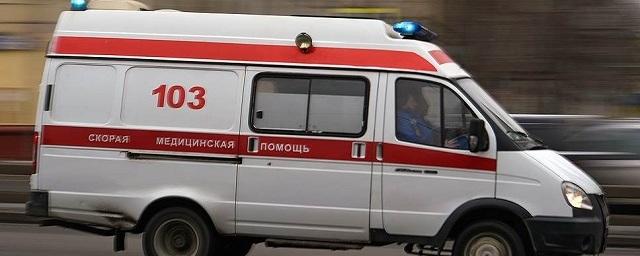 В Нижнем Новгороде грузовик насмерть сбил 73-летнего мужчину