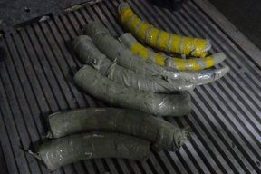 В Амурской области задержали иностранца с бивнями мамонта при попытке вывоза в Китай