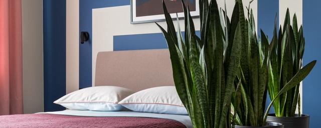 Комнатные растения в спальне создадут особенно уютную атмосферу