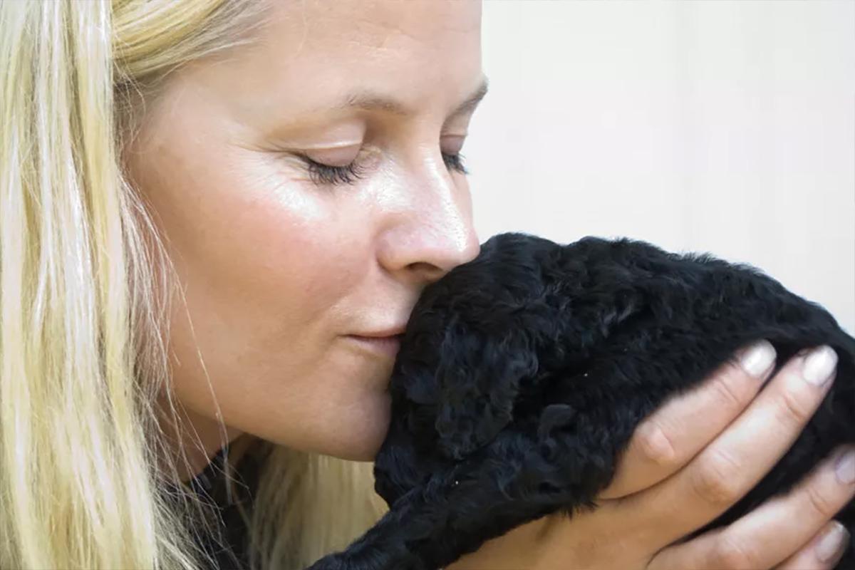 Большинство норвежцев не хотят, чтобы кронпринцесса стала королевой