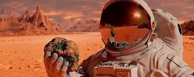 Ученые: Жизнь на Марсе может находиться на большой глубине