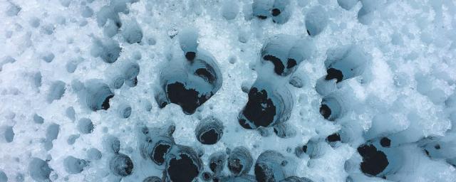 В Арктике нашли древние вирусы-зомби, которые могут быть опасными для человека
